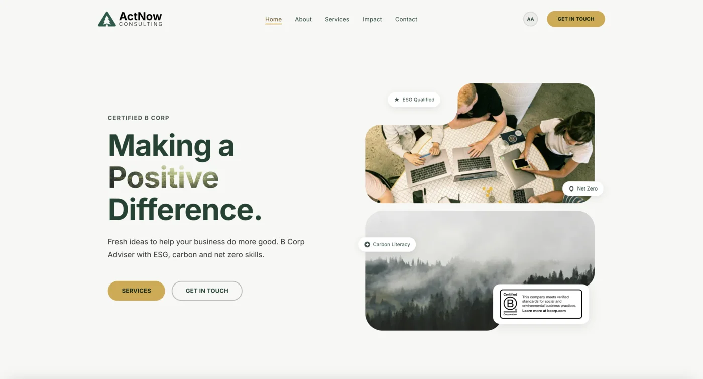 ActNow Consulting website